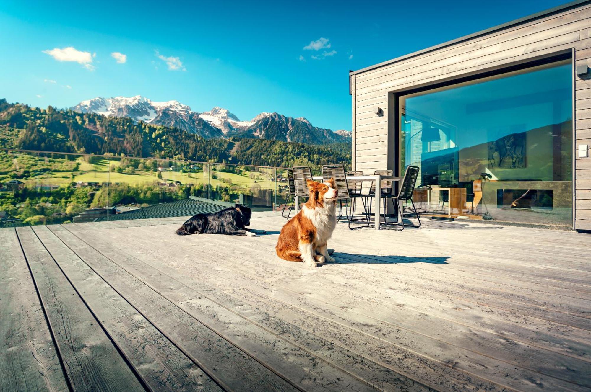 Chalets Coburg Шладминг Стая снимка